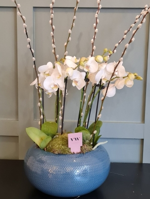 Orchid Planter