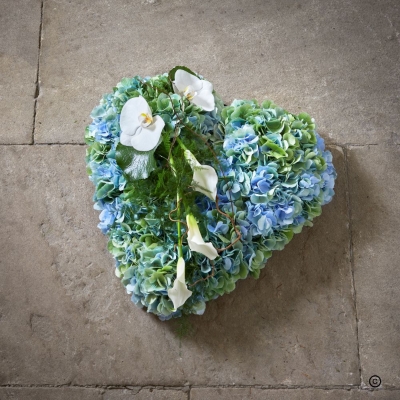 Blue Tranquil Hydrangea Heart