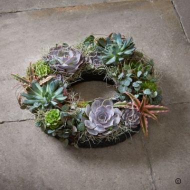 Succulent Planted Wreath